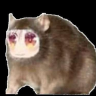 Reinakou