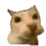 shrooba
